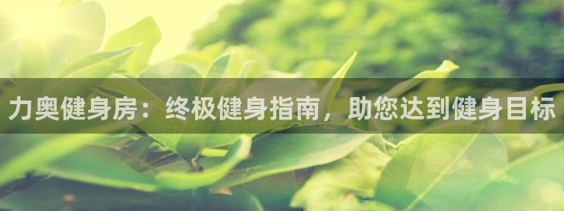 凯时AG登录入口官方版